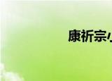 康祈宗小说（康祈宗）