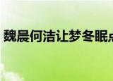 魏晨何洁让梦冬眠点评（魏晨何洁让梦冬眠）