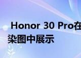  Honor 30 Pro在4月15日发布之前在官方渲染图中展示