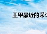 王甲最近的采访视频（王甲本后人）