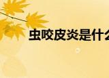 虫咬皮炎是什么引起的（虫咬皮炎）