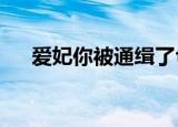 爱妃你被通缉了txt（爱妃你被通缉了）
