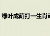 绿叶成荫打一生肖动物（绿叶成荫打一生肖）