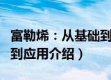 富勒烯：从基础到应用（关于富勒烯：从基础到应用介绍）