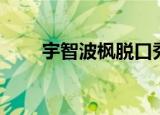 宇智波枫脱口秀（火影之宇智波枫）