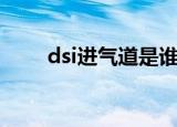 dsi进气道是谁发明的（dsi进气道）