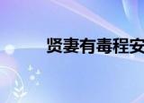 贤妻有毒程安的结局（贤妻有毒）