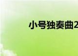小号独奏曲20首（小号独奏曲）