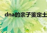 dna的亲子鉴定土办法（土办法亲子鉴定）