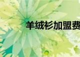 羊绒衫加盟费多少（羊绒衫加盟）