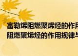 富勒烯阻燃聚烯烃的作用规律与阻燃机理研究（关于富勒烯阻燃聚烯烃的作用规律与阻燃机理研究介绍）
