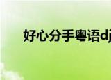 好心分手粤语dj（好心分手粤语翻译）
