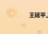 王延平上海（王延平）