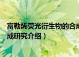 富勒烯荧光衍生物的合成研究（关于富勒烯荧光衍生物的合成研究介绍）