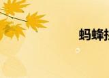 蚂蜂拼音（蚂蜂）