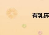 有乳环是什么意思？