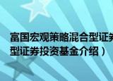 富国宏观策略混合型证券投资基金（关于富国宏观策略混合型证券投资基金介绍）