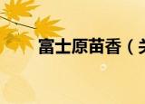 富士原苗香（关于富士原苗香介绍）