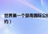 世界第一个禁毒国际公约是什么（世界上第一个国际禁毒公约）
