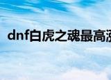 dnf白虎之魂最高涨到多少（dnf白虎之魂）
