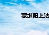 蒙继阳上法庭视频（蒙继阳）