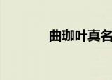 曲珈叶真名叫什么（曲珈叶）
