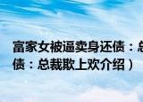 富家女被逼卖身还债：总裁欺上欢（关于富家女被逼卖身还债：总裁欺上欢介绍）