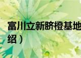富川立新脐橙基地（关于富川立新脐橙基地介绍）