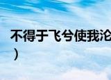 不得于飞兮使我沦亡是什么意思（不得于飞兮）