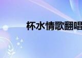 杯水情歌翻唱版（歌曲杯水情歌）
