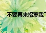不要再来招惹我下载（不要再来招惹我）