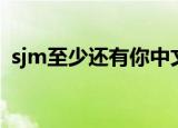 sjm至少还有你中文翻译（至少还有你sjm）