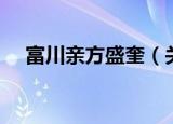 富川亲方盛奎（关于富川亲方盛奎介绍）
