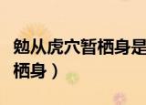 勉从虎穴暂栖身是哪首古诗里的（勉从虎穴暂栖身）