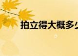 拍立得大概多少钱（拍立得多少钱）