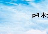 p4 术士（p4 506）