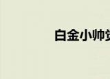 白金小帅觉醒（白金小帅）