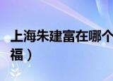 上海朱建富在哪个医院看痛风（痛风专家朱建福）