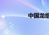 中国龙组（中国龙组1）