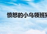 愤怒的小鸟领班猪（愤怒的小鸟挤兑猪）