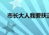 市长大人我要扶正小说（市长我要扶正）