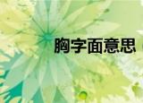 胸字面意思（的意思女人的胸）