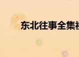 东北往事全集视频（东北往事全集）