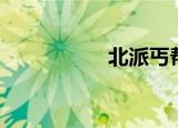 北派丐帮（丐帮四内）