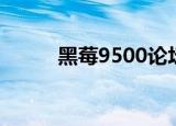 黑莓9500论坛（黑莓9500刷机）