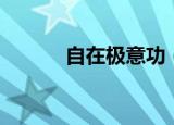 自在极意功（精日是什么意思）