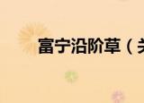 富宁沿阶草（关于富宁沿阶草介绍）