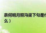 奈何明月照沟渠下句是什么（奈何明月照沟渠的上一句是什么）