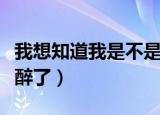 我想知道我是不是醉了（我想知道我们是不是醉了）