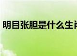 明目张胆是什么生肖（明目张胆是什么生肖）